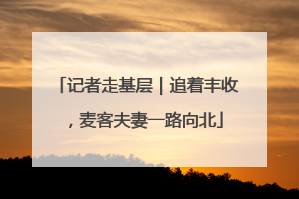 记者走基层｜追着丰收，麦客夫妻一路向北